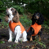 Siccaro Pro-tect Pro - Medium dogs Warming coats