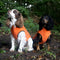 Pro-tect Pro - Medium dogs