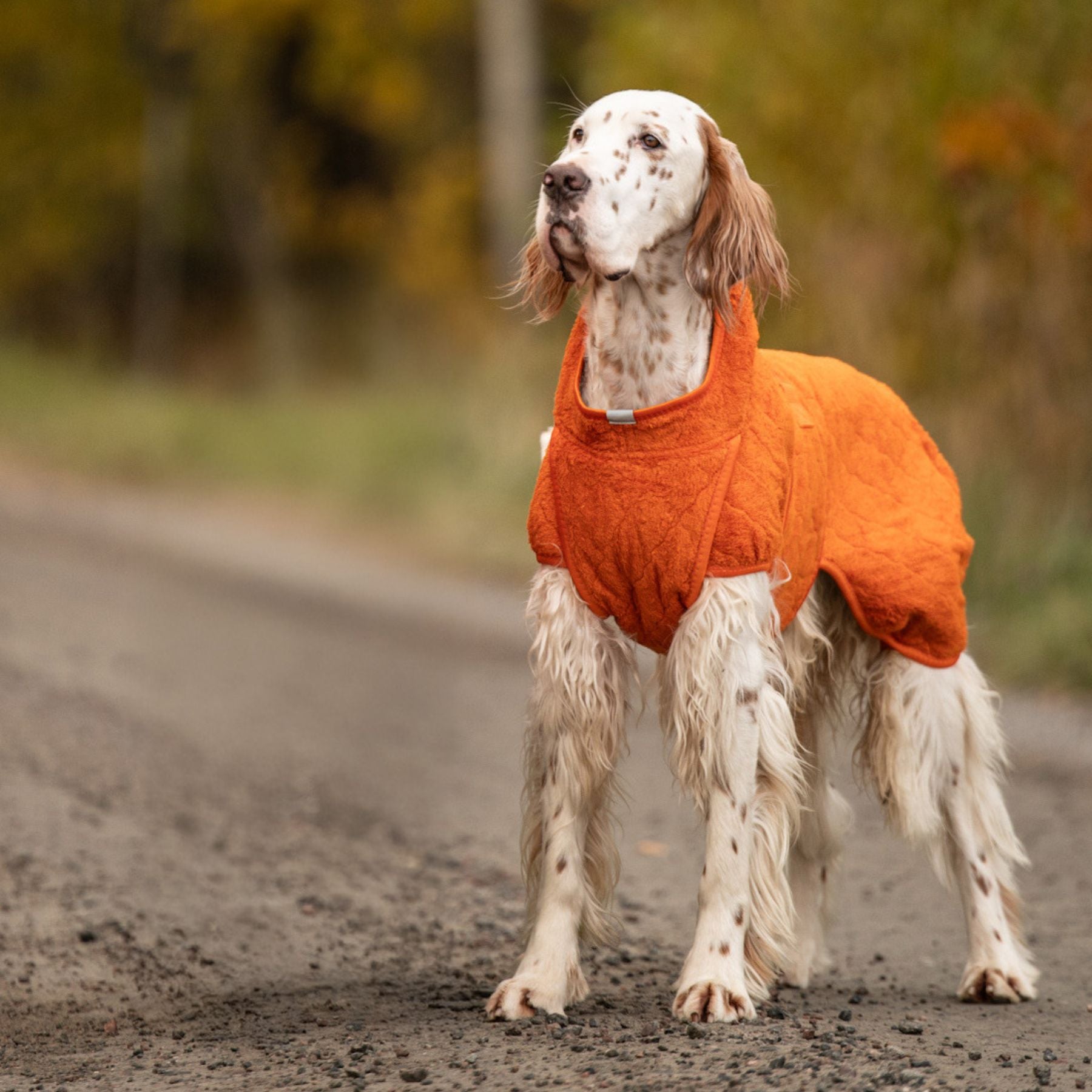 Smart / Tørredragt til hunde / 55