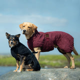 Siccaro Smart / Tørredragt til hunde / 60 Tørredragter